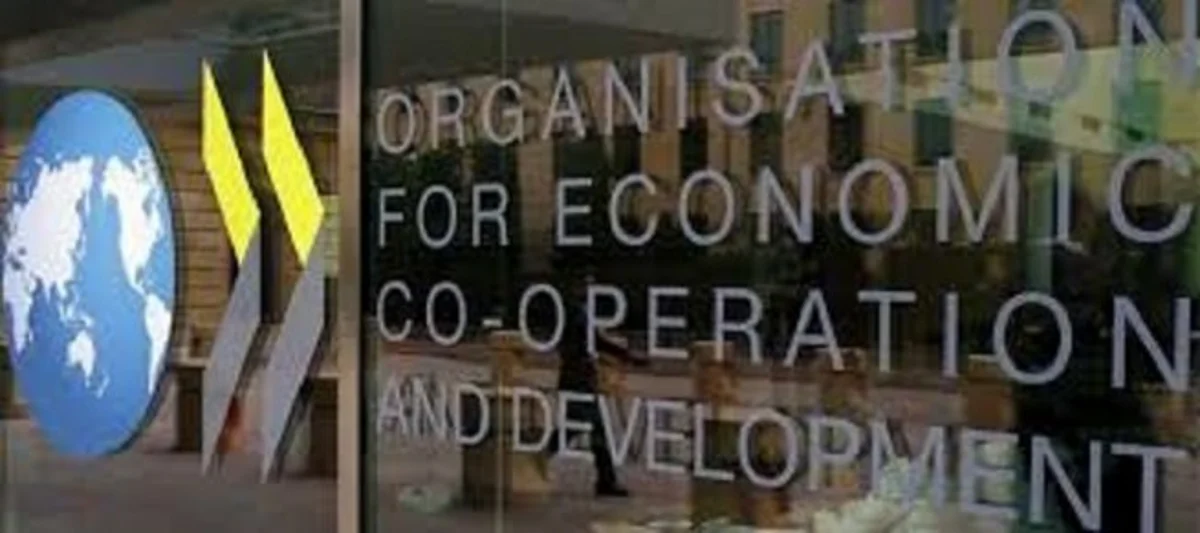 L'Ocse dura con l'Italia: "Quota 100 da abolire. Reddito di cittadinanza favorisce lavoro nero"