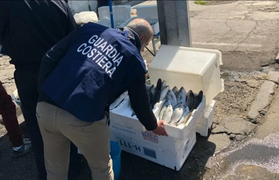 Torre Annunziata - Guardia Costiera e ASL sequestrano 70 kg di prodotti ittici venduti in strada