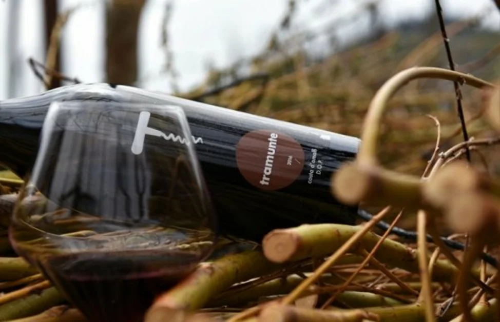Tramonti (SA) - Domenica In... Cantina Tagliafierro