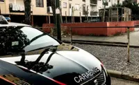 Boscoreale - “Alto Impatto” dei carabinieri nel Piano Napoli: denunciate 7 persone, sequestrata piantagione di marijuana