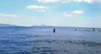 Torre Annunziata - Mare balneabile e pulito. Un miracolo o gioco delle correnti?