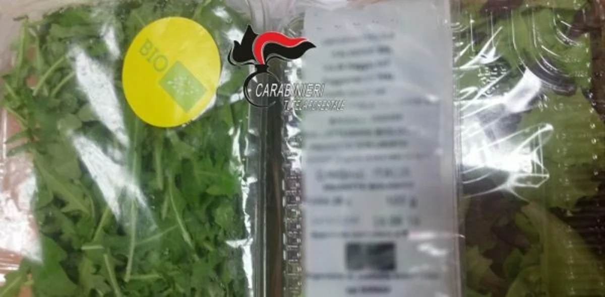 Poggiomarino - Frode commerciale per la produzione di lattughino bio