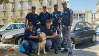Da un'ora dentro un'auto sotto il sole, agenti di Polizia salvano labrador
