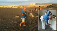 Torre Annunziata - Andrea Gallo, dipendente comunale tuttofare: da giardiniere, a operatore ecologico e pittore 