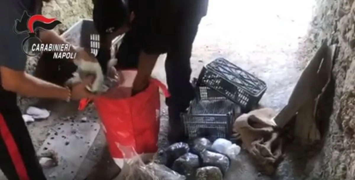 Gragnano - Droga e armi in un rudere abbandonato, sequestri e denunce dei carabinieri