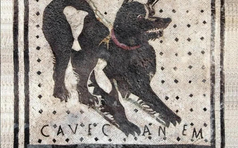 Pompei - Il Parco Archeologico celebra la Giornata internazionale del Cane