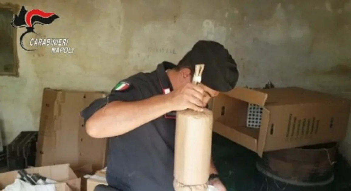 Pimonte - Arrestato 50enne per coltivazione di sostanza stupefacente e detenzione di armi