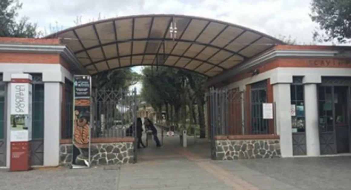 Pompei - Ordigni bellici rinvenuti negli Scavi, nessun pericolo