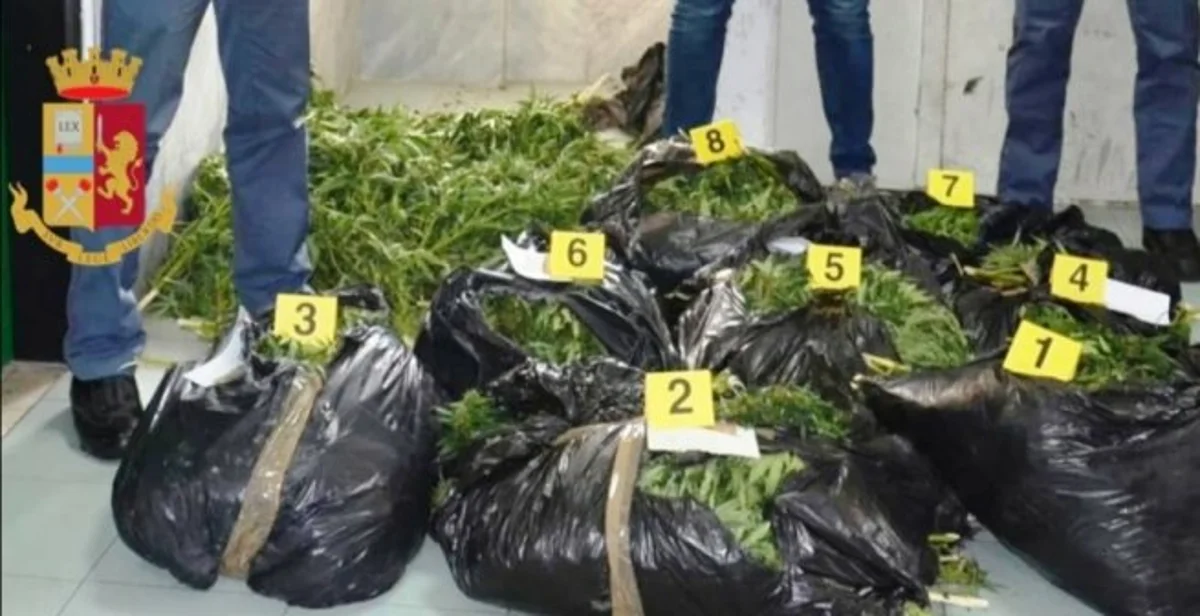 Torre Annunziata - Polizia sequestra mezzo quintale di canapa indiana, due arresti
