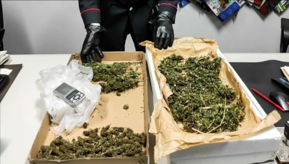 Boscoreale - Marijuana essiccata nel garage, arrestato 18enne