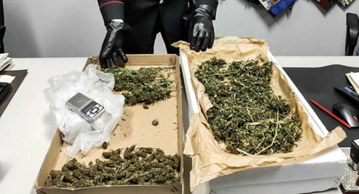 Boscoreale - Carabinieri arrestano spacciatore percettore di reddito cittadinanza