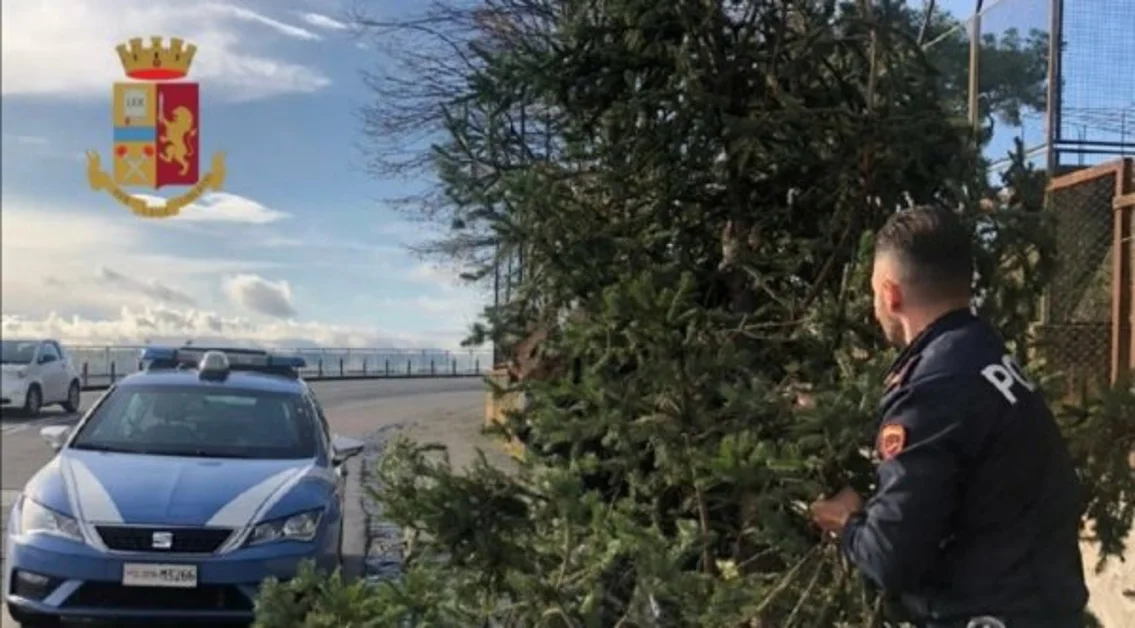 Napoli - Rubano albero da un parco condominiale a Posillipo, tre minori denunciati