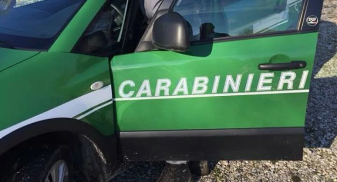 Marigliano (NA) - Carabinieri Forestali scoprono macelleria clandestina