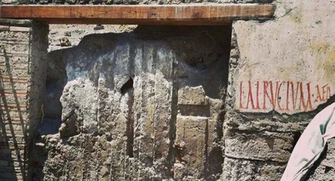 Pompei - La tecnica degli agrimensori dai pavimenti scavati nella regio V