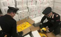 Carabinieri sequestrano 2 tonnellate di sigarette nel Nolano