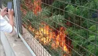 Pompei - Incendio sul cavalcavia Antonio Morese, aria irrespirabile nel quartiere di via Moro