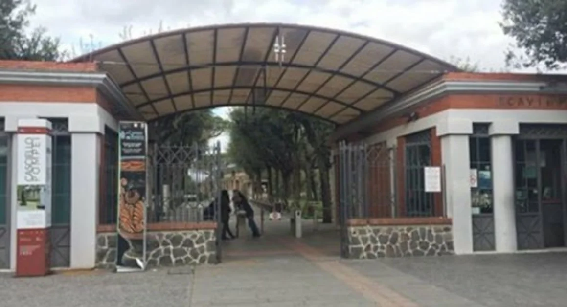 Pompei - Riapertura del Parco Archeologico, cosa ne pensano gli operatori turistici