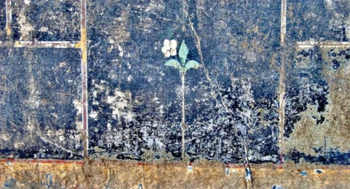 Pompei - Scavi archeologici, il mistero della piccola mummia 