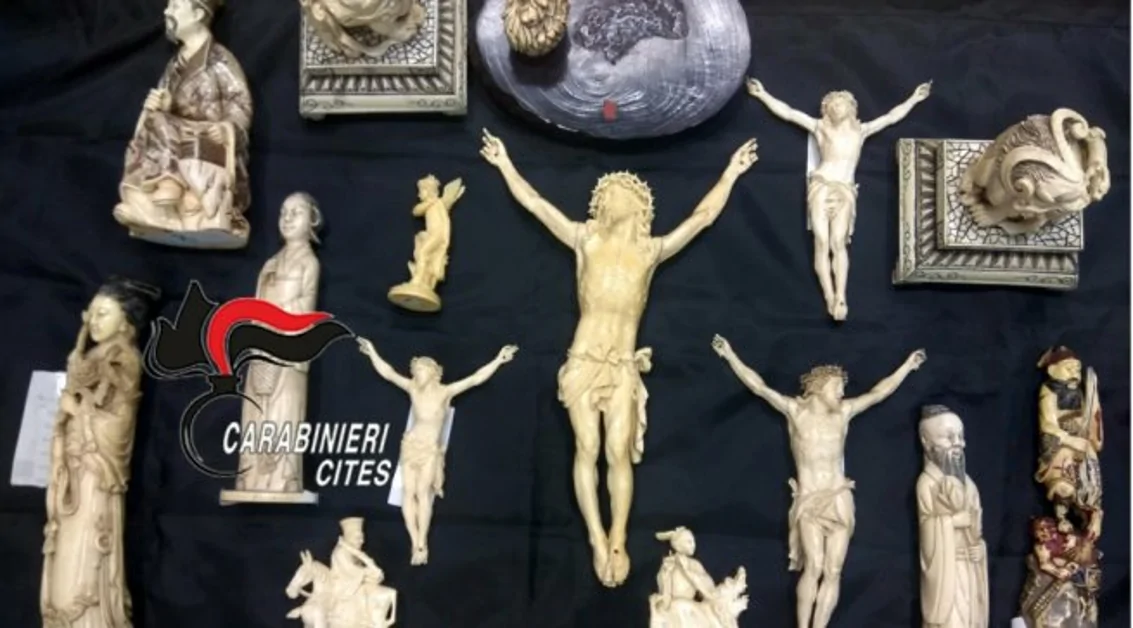 Torre del Greco - Vendeva sculture in avorio, denunciato antiquariato