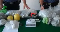 Castellammare di Stabia - Bloccato garzone di un bar con 570 grammi di marijuana appena prelevata da un pusher