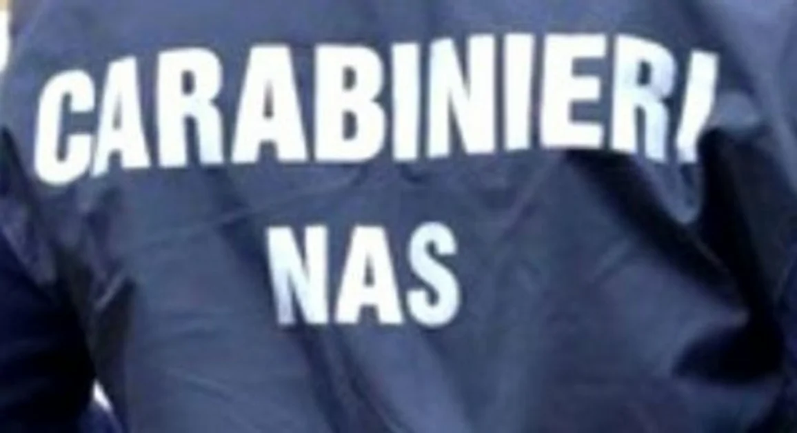 Ercolano/Castellammare/S. Giuseppe - Controlli dei carabinieri, sequestrati mascherine e alimenti