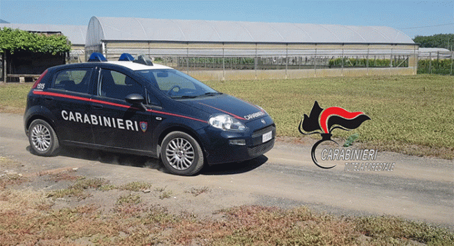 Poggiomarino - Azienda agricola utilizza prodotti chimici senza le prescritte autorizzazioni