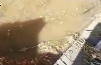 Scafati - Scarichi industriali illegali nel fiume Sarno, due imprenditori denunciati