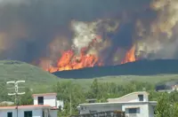 "Riforesti-Amo il Vesuvio", iniziativa dell'associazione "PrimAurora"
