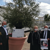 Torre Annunziata - Un ulivo per Ebru Timtik, avvocata martire della libertà