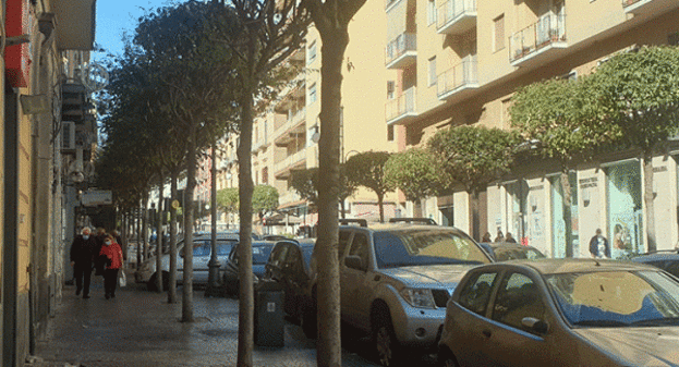 Torre Annunziata - Potatura alberi: divieti di sosta da lunedì 26 a giovedì 29 ottobre