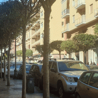 Torre Annunziata - Potatura alberi: divieti di sosta da lunedì 26 a giovedì 29 ottobre