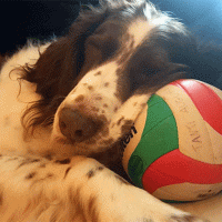 Concorso scatta, invia, vinci e regala un sorriso: Lula