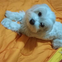 Concorso scatta, invia, vinci e regala un sorriso: Nami