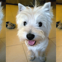 Concorso scatta, invia, vinci e regala un sorriso: Penny