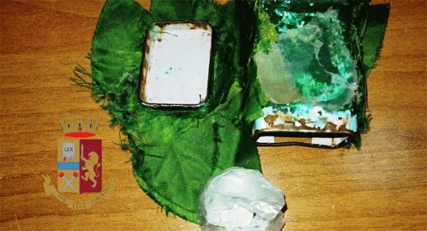 Napoli - Secondigliano: nasconde droga su un albero, arrestato