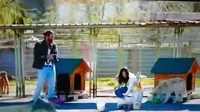 DayDreamer: Can Yaman e Demet Özdemir insieme al rifugio animali. Il video