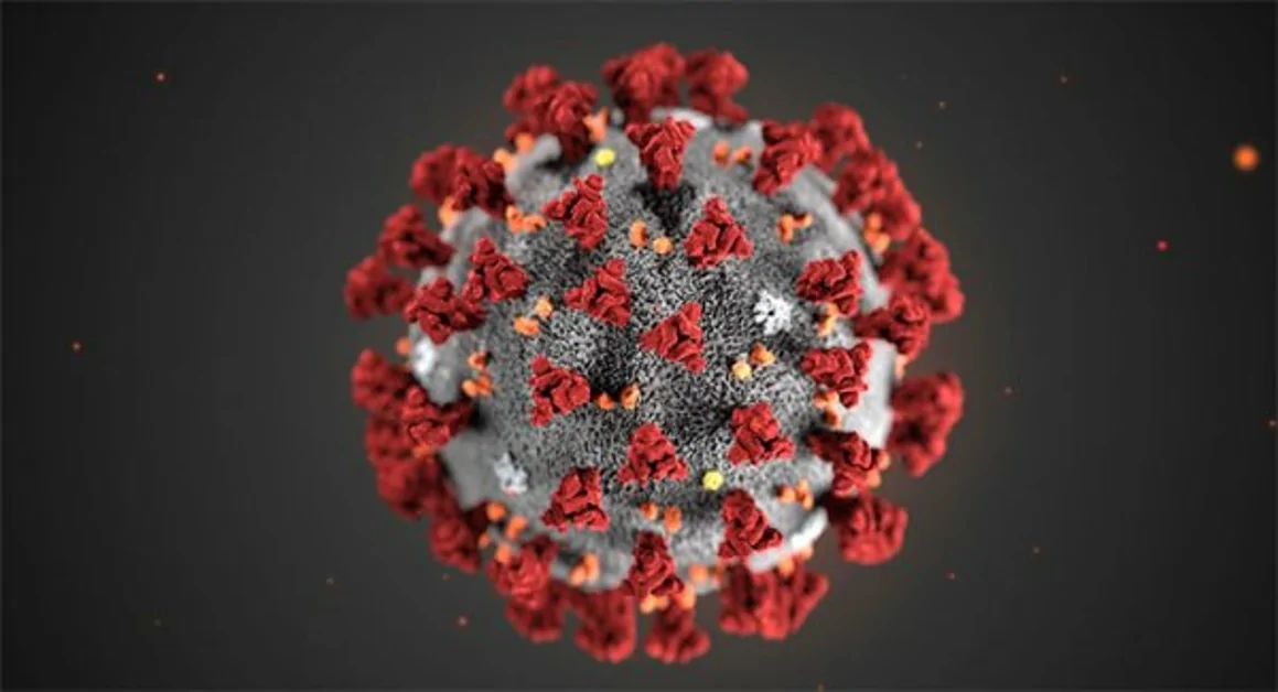 Coronavirus, dopo il 6 gennaio ritornano le fasce