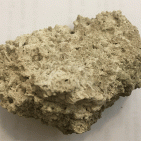 Pompei - Messaggio di un ladro pentito: "Due anni fa presi una pietra da terra, ora la restituisco"