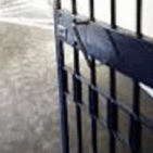 Torre Annunziata - Lettera di una mamma che per salvare il figlio dalla droga lo manda in carcere