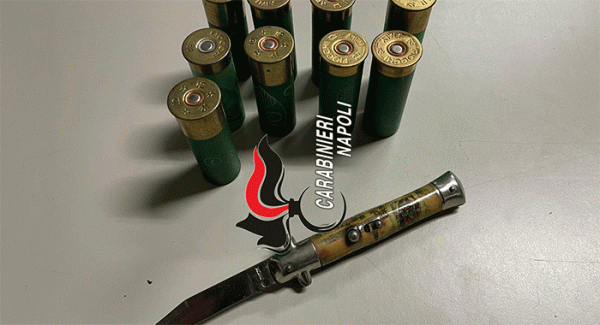 Boscoreale/Torre Annunziata - Pastore tedesco Geco scopre droga nel sottoscocca di un furgone