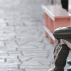 Dispersione scolastica: denunciati 6 genitori tra Torre Annunziata e comuni limitrofi