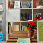 Torre Annunziata - Sezione della libreria Libertà dedicata al giornalista Alboretti, il plauso del sindaco Ascione