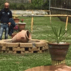 Torre Annunziata - Villa Parnaso, un polmone di verde al centro della città: tuteliamolo