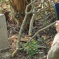 Sposta il confine tra Francia e Belgio: inconsapevole gesto di un agricoltore