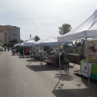Torre Annunziata -  Mostra mercato in via Gino Alfani: ritorna il "Paniere Vesuviano"