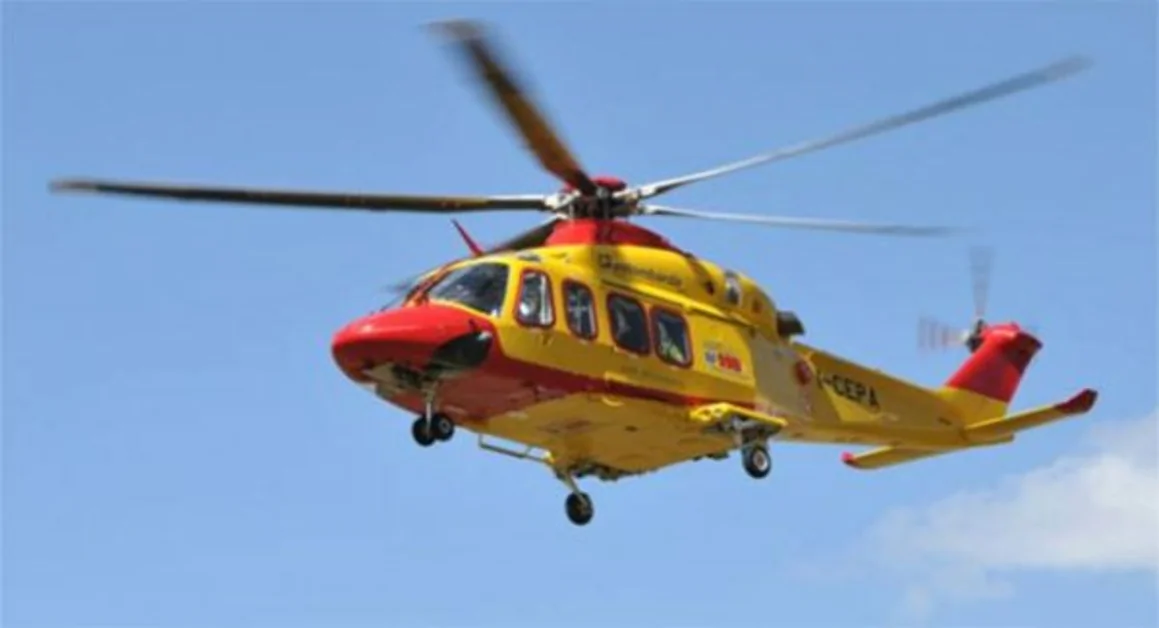 Bimbo di 18 mesi scalciato da un cavallo: è in gravissime condizioni 