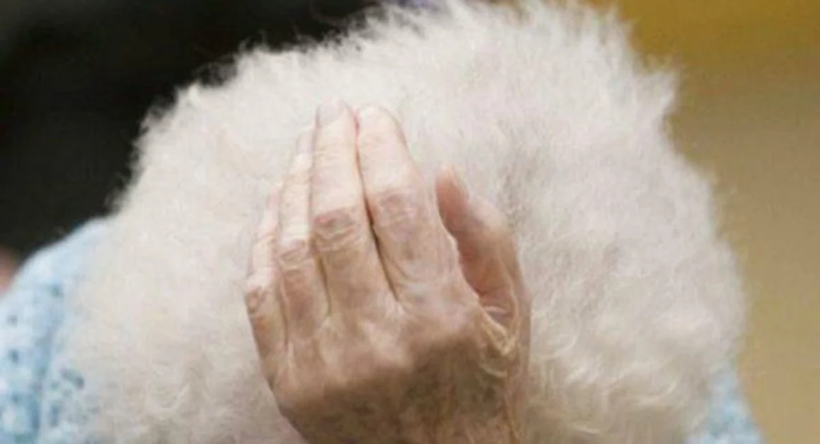 Alzheimer, primo farmaco approvato dopo 20 anni di fallimenti