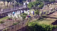 Torre Annunziata - Settimana della gentilezza, le iniziative in programma a Villa Parnaso