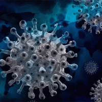 Boscoreale - Coronavirus, registrati 2 casi di variante indiana