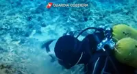 Contrasto raccolta datteri in mare: i dettagli dell'operazione. Il Video